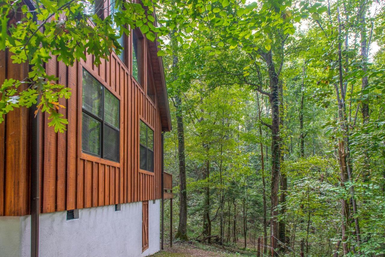 Friendly Bear Cabin Pigeon Forge Dış mekan fotoğraf